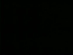 'Naked Ghosts' screenshot nº 1