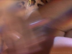 'Many Shades Of Mayhem 3, The' screenshot nº 57