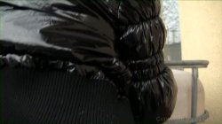 'Perryvision' screenshot nº 64