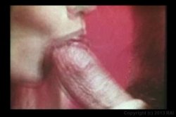 Captura de 'Big Tit Anal Ultra Vixens In The 1970's' nº 24