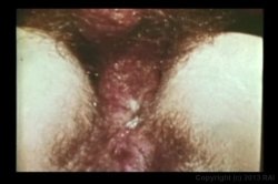 Captura de 'Big Tit Anal Ultra Vixens In The 1970's' nº 27