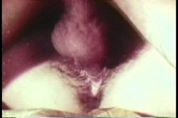 Captura de 'Big Tit Anal Ultra Vixens In The 1970's' nº 71