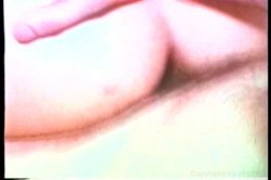 Captura de 'Big Tit Anal Ultra Vixens In The 1970's' nº 112