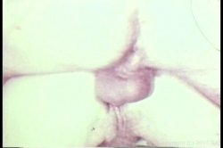 Captura de 'Big Tit Anal Ultra Vixens In The 1970's' nº 130