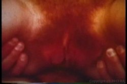 Captura de 'Big Tit Anal Ultra Vixens In The 1970's' nº 136