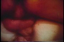 Captura de 'Big Tit Anal Ultra Vixens In The 1970's' nº 137