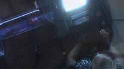 Captura de '2040' nº 27