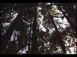 'Seduction Moon' screenshot nº 115