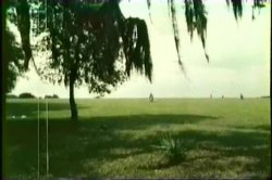 Captura de 'Carol Conners Collection' nº 3