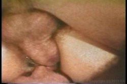 'Vanessa's Anal Fiesta' screenshot nº 45