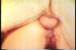 'Vanessa's Anal Fiesta' screenshot nº 77