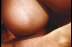 'Lesbian Bra Busters Of The 1970's' screenshot nº 31