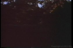 'Lesbian Bra Busters Of The 1970's' screenshot nº 66