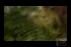 'Up In The Arse' screenshot nº 18