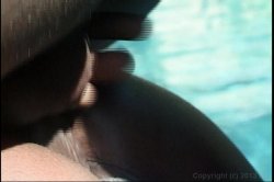 Captura de 'Anal Pool Party 4' nº 64