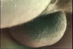 Captura de 'Anal Pool Party 4' nº 96