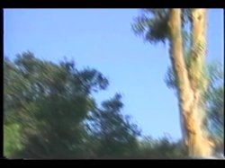 'Vixens In Heat' screenshot nº 4