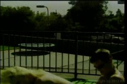 'Big Titties 2' screenshot nº 40