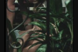 Captura de 'Little Often Annie' nº 34