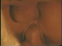 'Porn Star Legends Nikki Sinn' screenshot nº 140