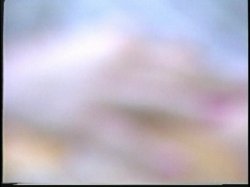 Captura de 'Porn Star Legends Chessie Moore' nº 91