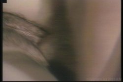 Captura de 'Porn Star Legends: Christy Canyon' nº 78