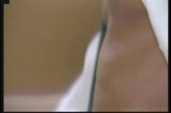 Captura de 'Porn Star Legends: Christy Canyon' nº 102