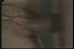 Captura de 'Porn Star Legends: Christy Canyon' nº 42