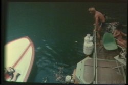 Captura de 'Porn Star Legends Desiree Cousteau' nº 86