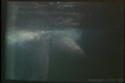 Captura de 'Porn Star Legends Desiree Cousteau' nº 101