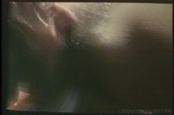 Captura de 'Porn Star Legends Desiree Cousteau' nº 104