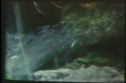 Captura de 'Porn Star Legends Desiree Cousteau' nº 115