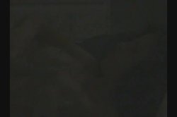 'Breast Wishes 11' screenshot nº 108